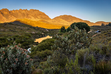 landscape in the morning sun