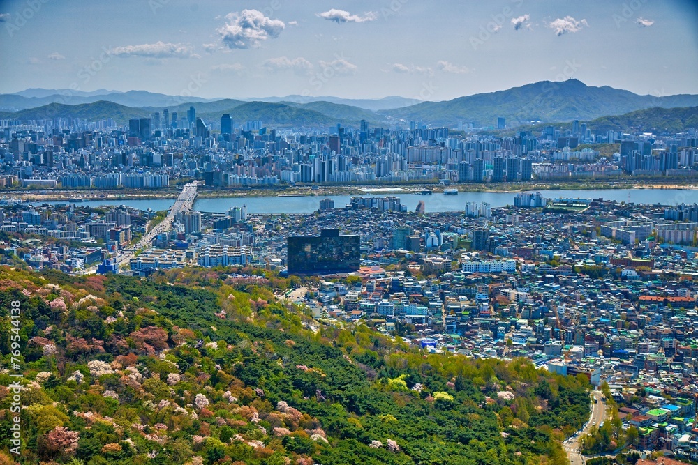 Wall mural Seoul city spring landscape