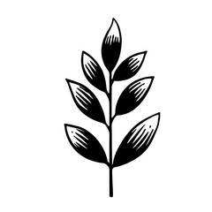Leaf vector
