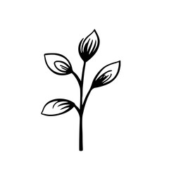 Obraz premium Leaf vector