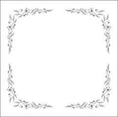 Elegant black and white vegetal ornamental frame with wild roses, decorative border, corners for greeting cards, banners, business cards, invitations, menus. Isolated vector illustration.	