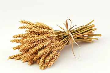 Transparent PNG available bunch of wheat 