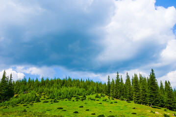 green mount top with forest under a dense cloudy sky