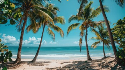 Tropical beach scene,featuring lush,swaying palm trees that frame a picturesque coastline The...
