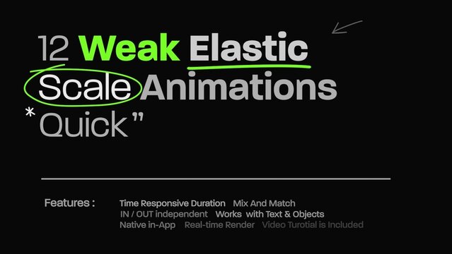 12 Weak Elastic Scale Title Animator Quick 
