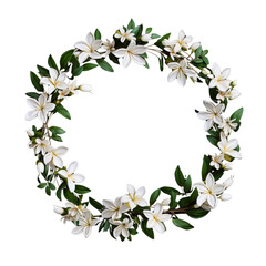 Fototapeta premium Wreath of flowers, flower wreath round frame borders, floral decoration, transparent background, Flat lay, top view
