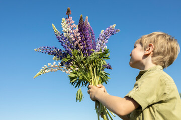 boy is holding in his hands a large bouquet of blooming purple lupine flowers. Positive spring sunny atmosphere, bouquet for mom, joy, festive mood