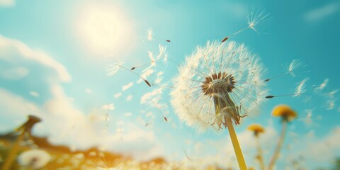 A close-up of a dandelion blowing in the wind, spreading seeds of hope. 
