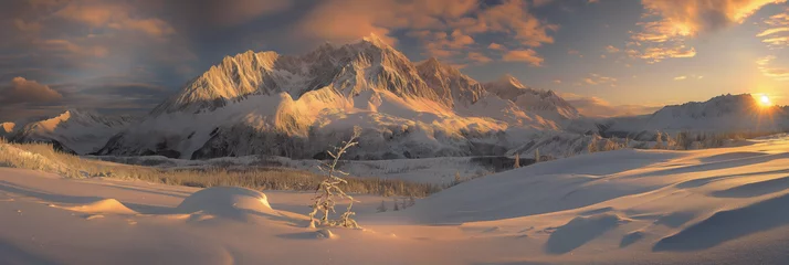 Foto op Canvas Stunning panoramic photo of the Alaska state landscape © Pierre Villecourt