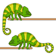 Set of color illustrations with green chameleon. Isolated vector object on white background.