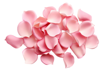 A Pile of Pink Petals Dancing on White. On a White or Clear Surface PNG Transparent Background.