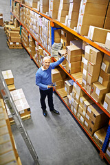 Fototapeta premium Tablet, portrait or top view of man in factory for delivery boxes, storage or stock in warehouse for website. Logistics, manager or supply chain inspection for cargo, package or wholesale shipping