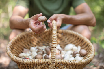 man holding basket of wild mushrooms