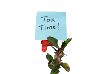 Tax time