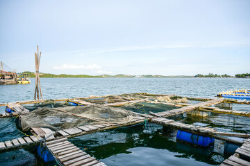 Seafood farm and kelong