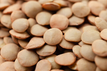 Uncooked brown lentils background. Dry brown lentil grains. Top view. Close-up
