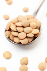 Dry brown lentils in iron spoon on white background. Close-up