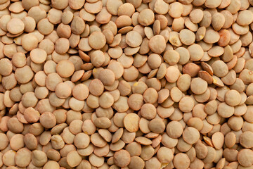 Uncooked brown lentils background. Dry brown lentil grains. Top view