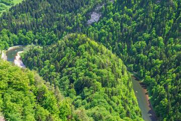Dunajec River in sunny summer day. Aerial view, Pieniny mountains, Poland.