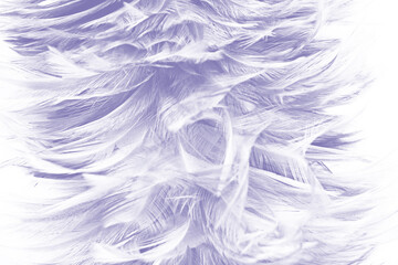 Beautiful dark violet gray feather pattern texture background , pastel color style