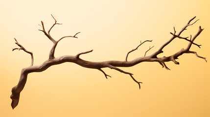 Fototapeta premium dry tree trunk