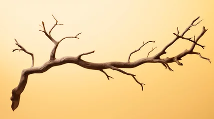 Fotobehang dry tree trunk © Derby