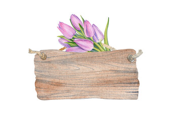 Watercolor wooden sign with tulips bouquet isolated on white background. Flowers, greenery, wooden window on white background. Hand drawn illustration. Happy Easter banner, poster, greeting card