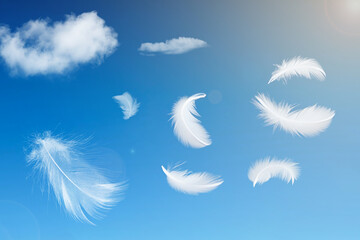 White feathers floating in the sky with sunlight. free space .