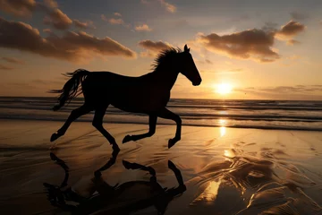 Fotobehang silhouette of horse running at sunset on beach © primopiano