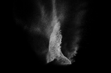 Abstract dust overlay texture. Motion of white particles on black background. Powder explosion.	
 - obrazy, fototapety, plakaty
