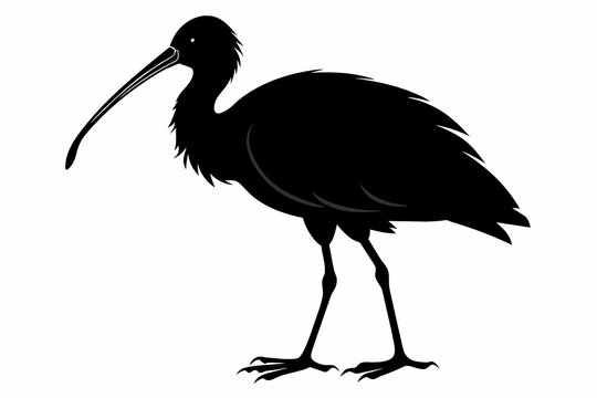 recommend clip art: a ibis beautiful bird silhouette  vector illustration