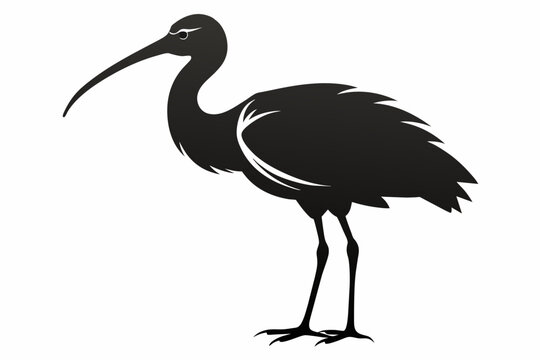 recommend clip art: a ibis beautiful bird silhouette  vector illustration