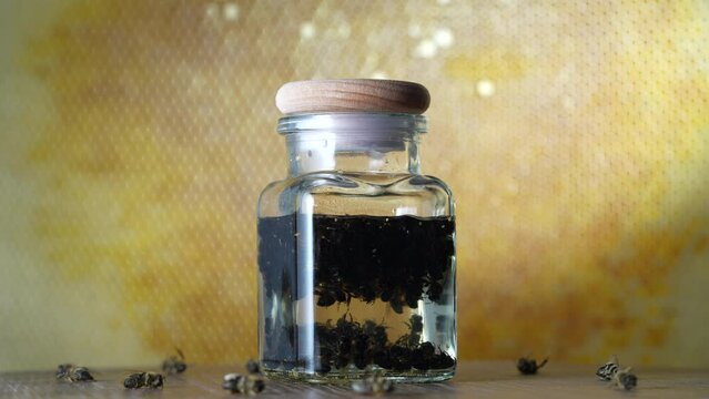Glass bottle of tincture from dead bees in vodka on a background of honeycombs, close up, rotates. Organic phytoconcentrate tincture of bee podmore, natural beekeeping product, apitherapy
