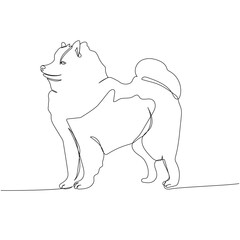 Samoyed, sled dog, aboriginal breed, companion dog one line art. Continuous line drawing of friend, dog, doggy, friendship, care, pet, animal, family, canine.