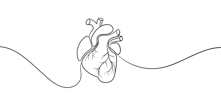 Heart continuous line art drawing isolated on white background. Minimal, health, organ, black and white. Vector illustration