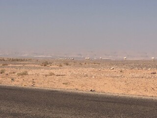 Roadtrip in Jordan