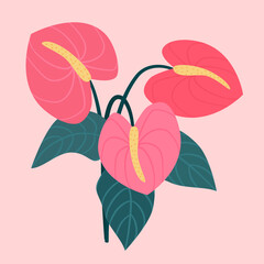cute hand drawn anthurium flowers bouquet vector illustration isolated on pink background