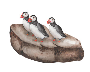 Watercolor illustration. Hand painted flock of atlantic puffins on a big rock, brown stone. Birds with black wings, red beak, white chest feathers. Seabirds. Isolated clip art. Fratercula arctica