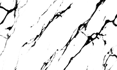 Texture of grunge or dust cracks black and white background. Vector illustration. 