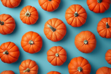 Colorful autumn harvest of fresh orange pumpkins on a vibrant blue background, flat lay composition, top view shot