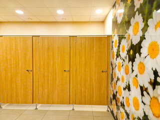 modern interior design in public toilet. bathroom with chamomiles