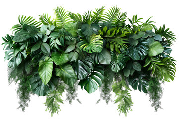 Tropical leaves foliage plant bush floral arrangement nature backdrop isolated on transparent background With clipping path. cut out. 3d render - obrazy, fototapety, plakaty
