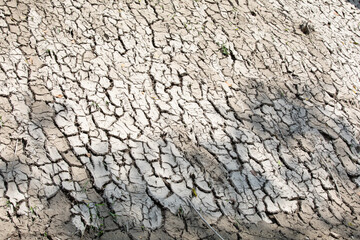 Cracked dry soil infertile terrain