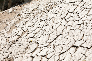 Cracked dry soil infertile terrain