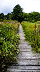 dänischer Wanderweg