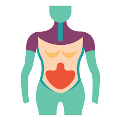 Human abdomen, body parts of human isolated flat vector illustration on white background.