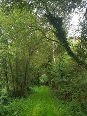 Entorno natural en las Rías Bajas, Galicia