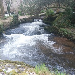 Entorno natural del río Mero en Oleiros, Galicia