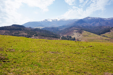 carpathian countryside scenery in early spring. mountainous rural landscape with rolling hills covered with weathered grass. warm sunny day