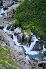 mountain water stream among the rocks on the hillside. view from above. beauty of carpathian nature